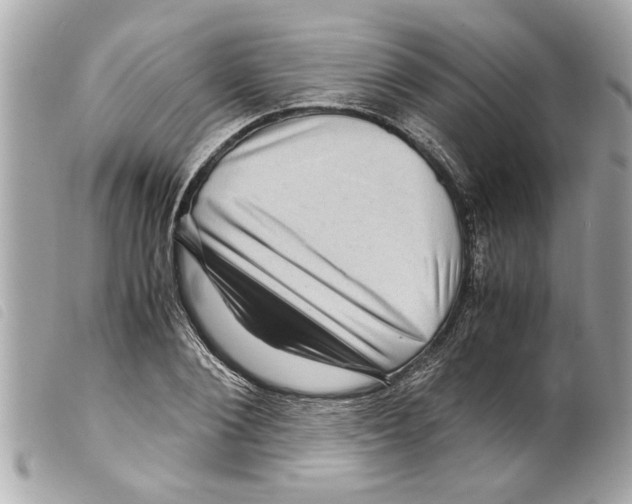 X0000099290884200805301109