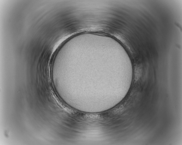 X0000099290886200805301109