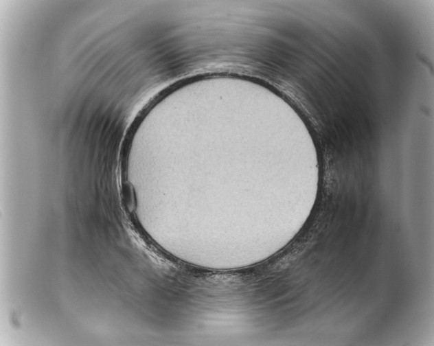 X0000099290888200805301109