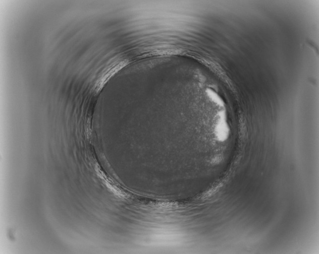 X0000099290889200805301109