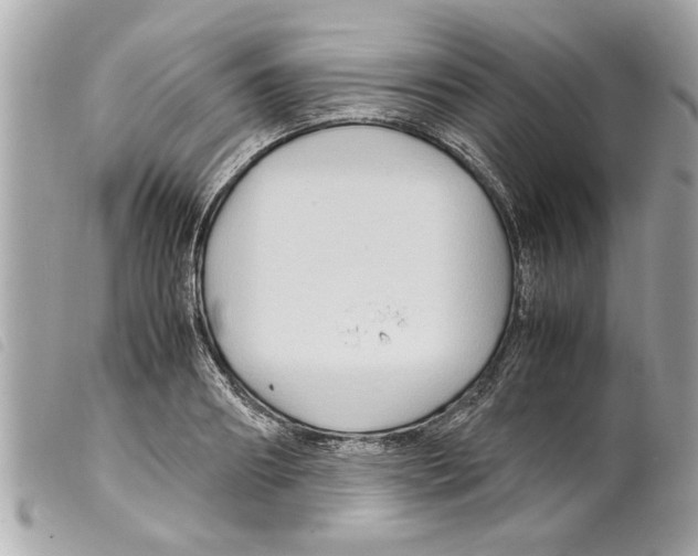X0000099290890200805301109