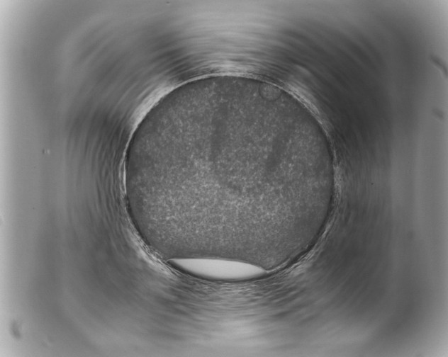 X0000099290891200805301109