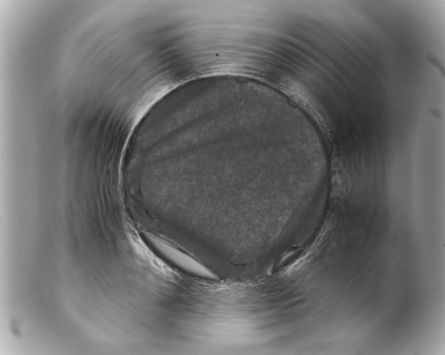 X0000099290892200805301109