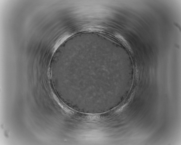 X0000099290893200805301109