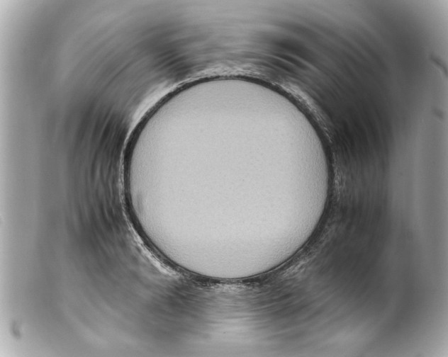 X0000099290894200805301109