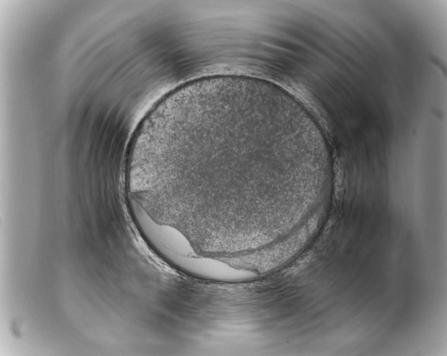 X0000099290896200805301109