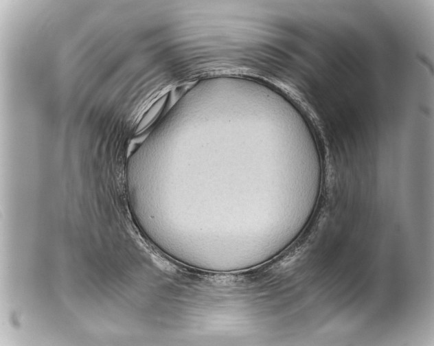 X0000099290897200805301109