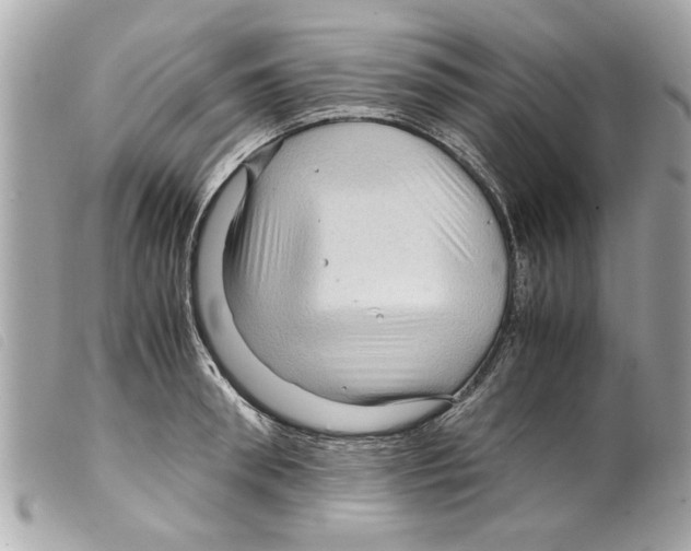 X0000099290898200805301109