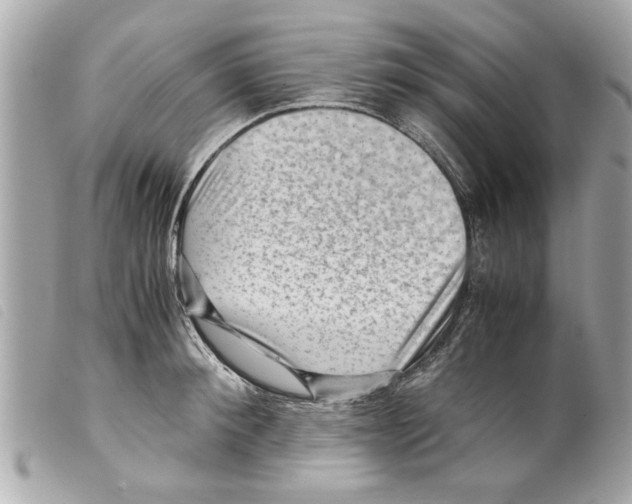 X0000099290900200805301109