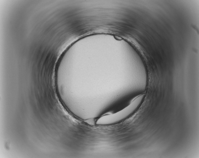 X0000099290902200805301109