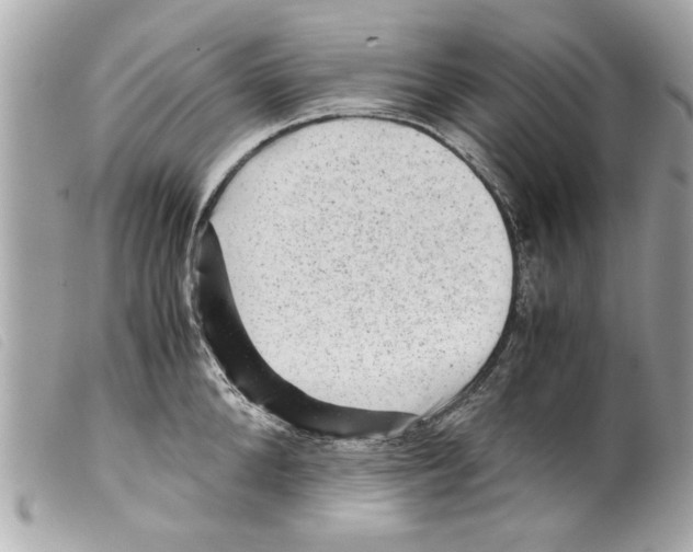 X0000099290904200805301109