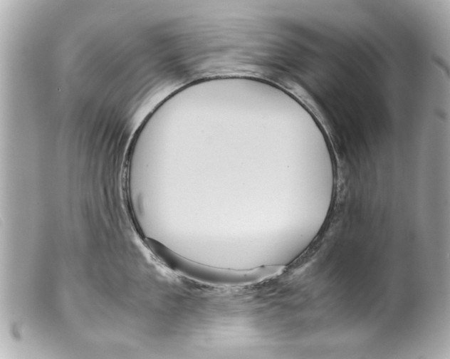 X0000099290909200805301109