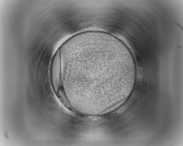 X0000099290910200805301109