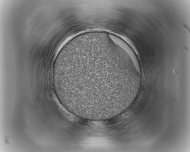 X0000099290911200805301109