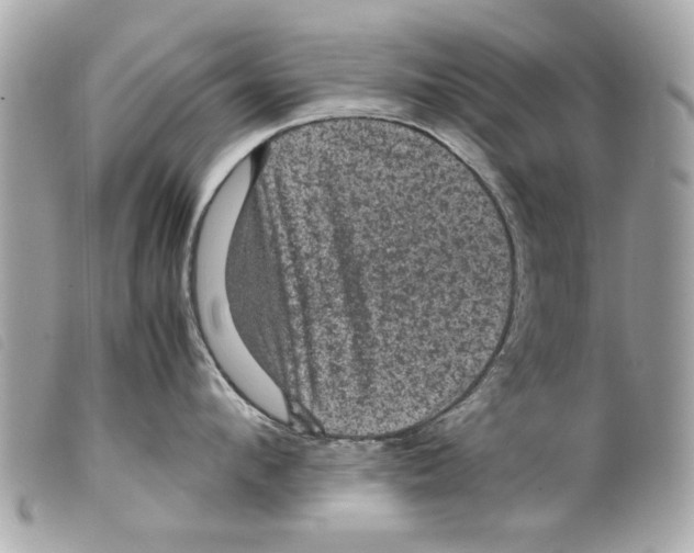 X0000099290912200805301109
