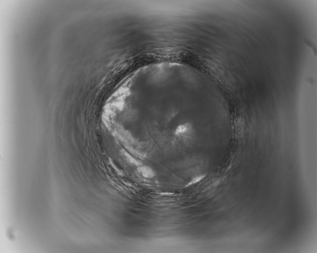 X0000099290913200805301108