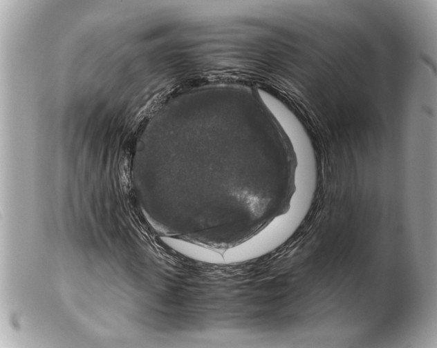 X0000099290915200805301108