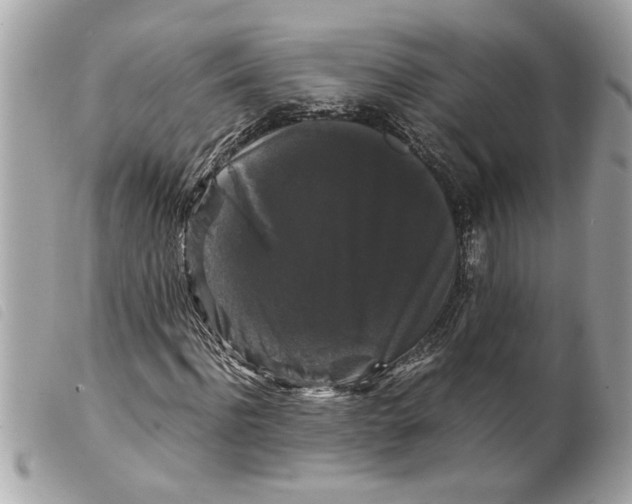 X0000099290916200805301108