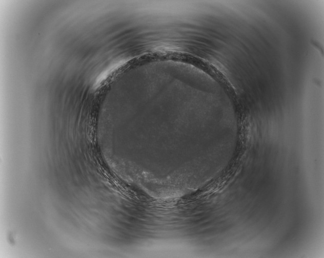 X0000099290919200805301108