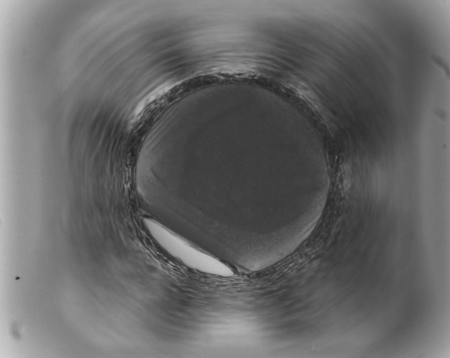 X0000099290920200805301108