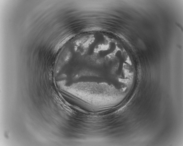 X0000099290921200805301108