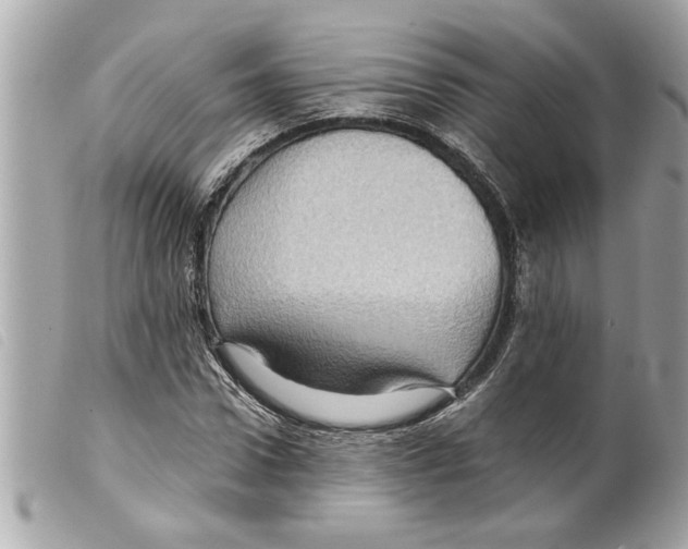 X0000099290922200805301108