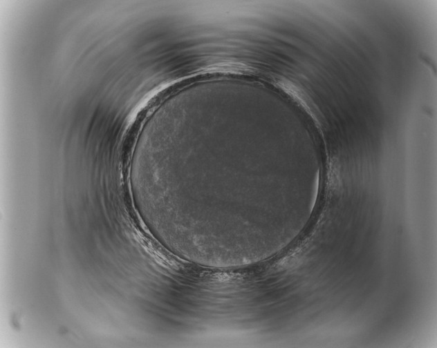 X0000099290923200805301108