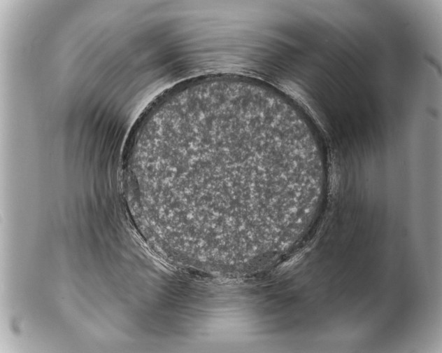 X0000099290924200805301108