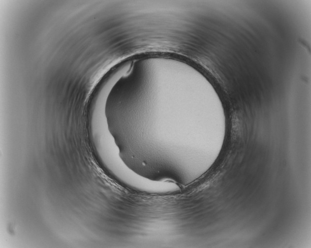 X0000099290926200805301108