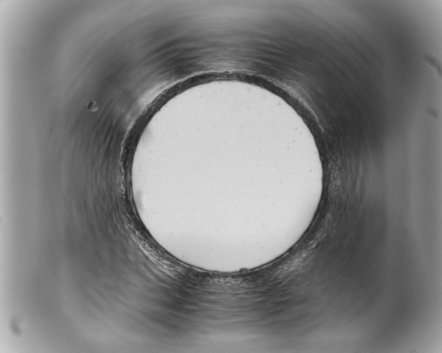 X0000099290927200805301108