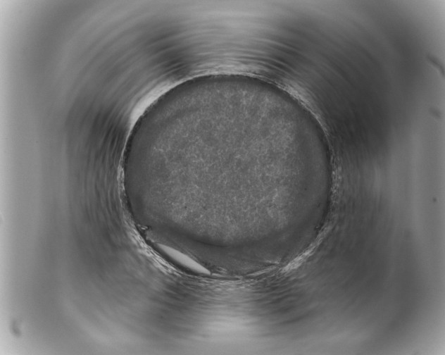 X0000099290928200805301108
