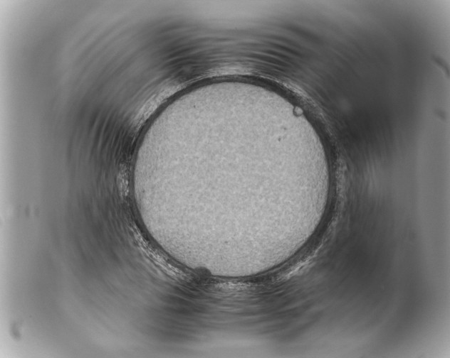 X0000099290929200805301108