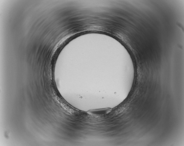 X0000099290931200805301108
