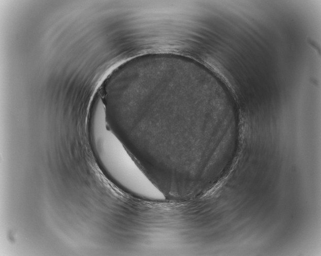 X0000099290932200805301108