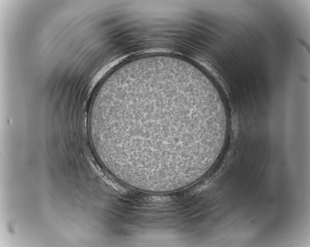X0000099290933200805301108