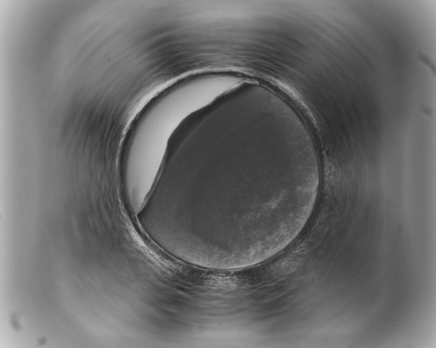 X0000099290935200805301108