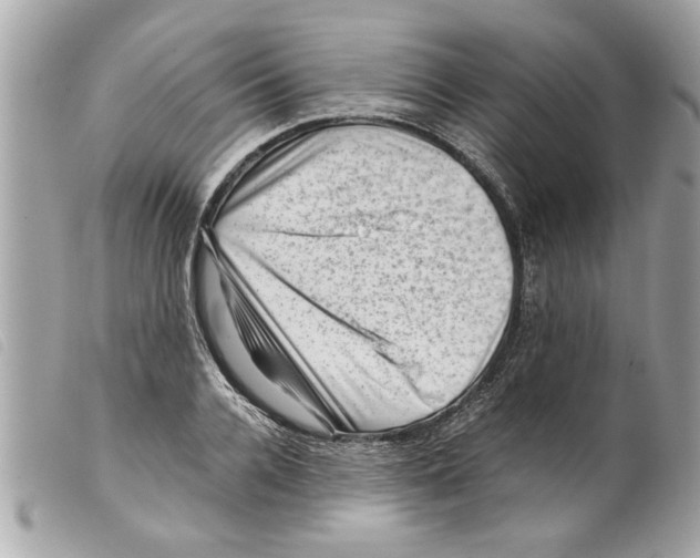 X0000099290936200805301108