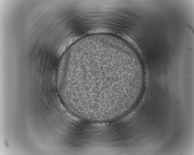 X0000099290937200805301108
