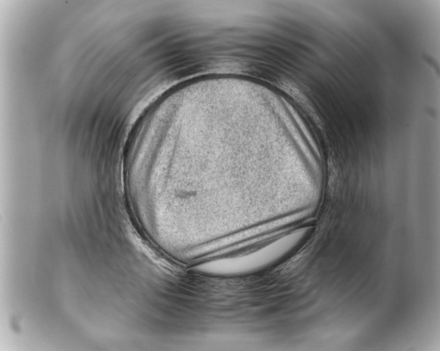 X0000099290939200805301108