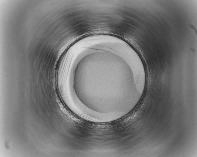 X0000099290941200805301108