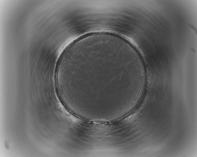 X0000099290943200805301109
