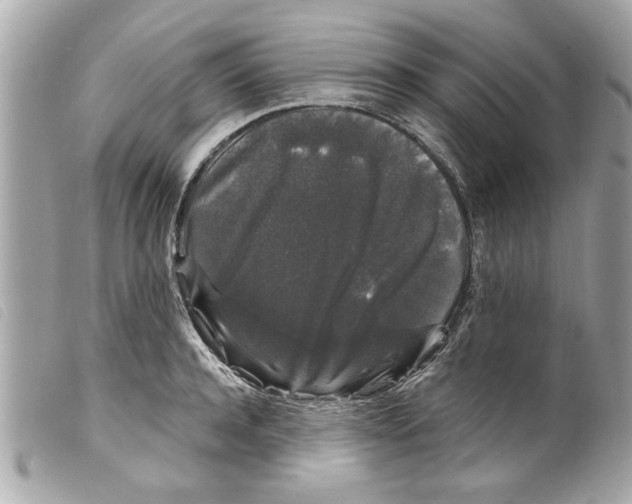 X0000099290944200805301109