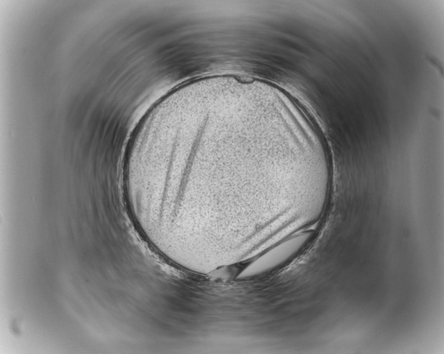 X0000099290949200805301109