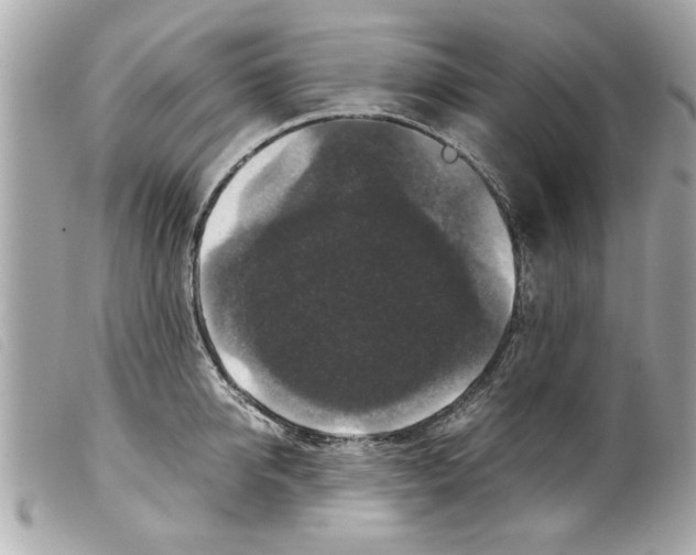 X0000099290950200805301109