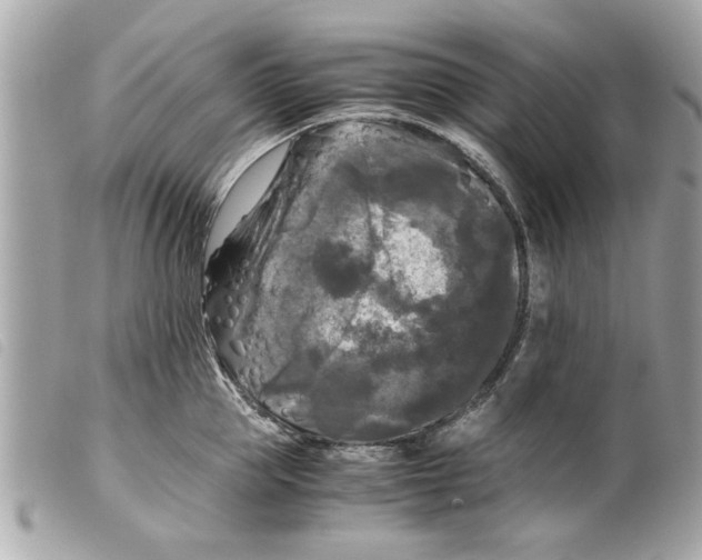X0000099290953200805301109
