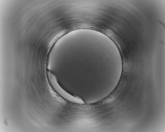 X0000099290954200805301109