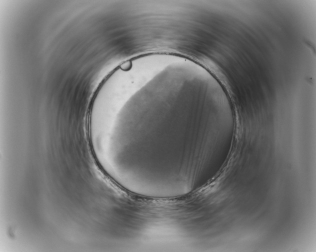 X0000099290958200805301109