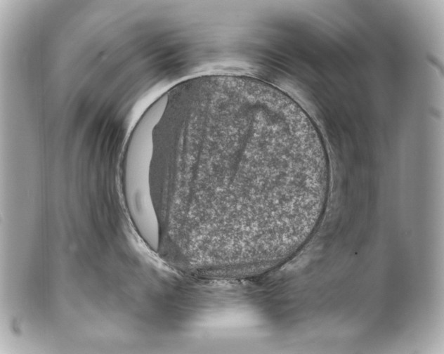 X0000099290960200805301109