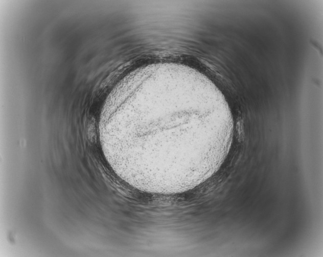 X0000099290963200805301108