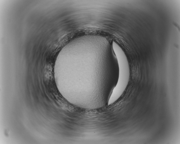 X0000099290964200805301108